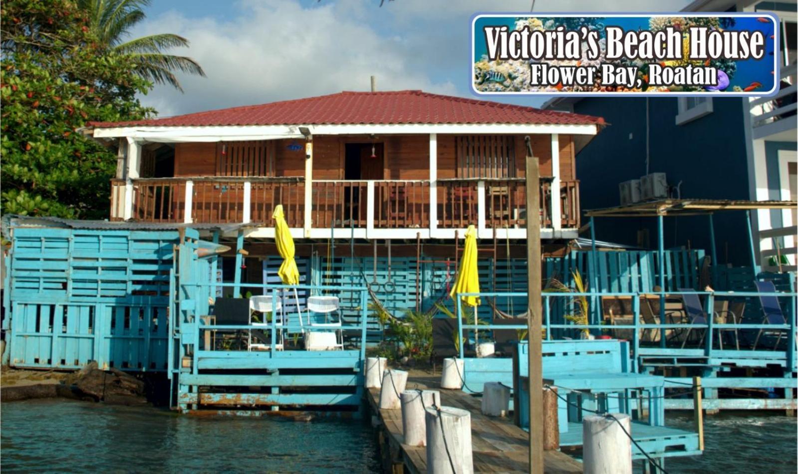 Victoria S Beach House And Snorkeling Center Flowers Bay Extérieur photo